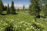 0341 Corral Trail - Photo 9