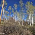 1999 County Road 162 - Photo 8