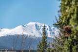 377 Lions Gate Drive - Photo 40