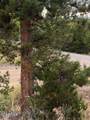 29 Gcr 4035 - Photo 5