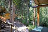 115 Lions Gate Drive - Photo 54