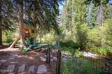 115 Lions Gate Drive - Photo 62