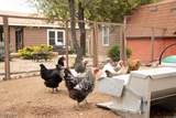 202 9TH Street - Photo 79