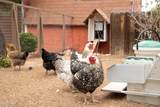 202 9TH Street - Photo 80