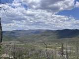 463 County Road 414 - Photo 16