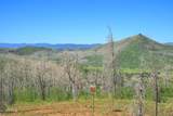 463 County Road 414 - Photo 32