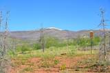 463 County Road 414 - Photo 6