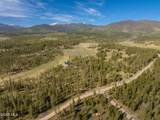 1434 Stagecoach Drive - Photo 13