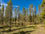 1434 Stagecoach Drive - Photo 25