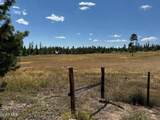 92 County Road 443 - Photo 43