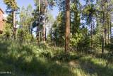 261 Gcr 839/Deer Rd - Photo 8