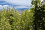 343 Timber Lake Way - Photo 4