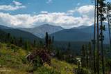 54 Cub Creek Way, Lot 3 - Photo 3