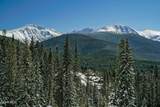 54 Cub Creek Way, Lot 3 - Photo 4