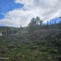 TBD Roosevelt - Photo 1