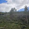 TBD Roosevelt - Photo 2