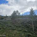 TBD Roosevelt - Photo 3
