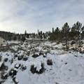 TBD Roosevelt - Photo 6