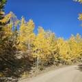 1286 Gcr 2412 - Photo 2