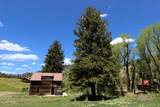 1381 Sheephorn Creek Road - Photo 18