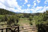 1381 Sheephorn Creek Road - Photo 19