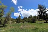 1381 Sheephorn Creek Road - Photo 20