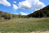 1381 Sheephorn Creek Road - Photo 34