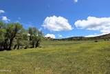 1381 Sheephorn Creek Road - Photo 37