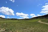 1381 Sheephorn Creek Road - Photo 43
