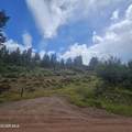 2308 County Road 19 - Photo 2