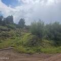 2308 County Road 19 - Photo 3