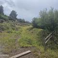 2308 County Road 19 - Photo 4