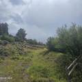 2308 County Road 19 - Photo 5