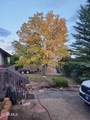 1105 Central Avenue - Photo 50