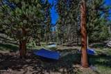 901 Tallaqua Street - Photo 13