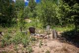 139 Forest Trail - Photo 79