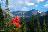 37 Mountain Flower Circle - Photo 29