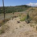 725 County Road 2416 - Photo 7