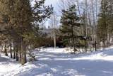 1153 Gcr 494 / Columbine Dr - Photo 9