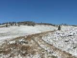  Tbd - Photo 5
