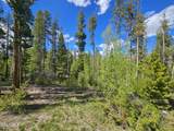 134 Mad Moose Lane - Photo 11