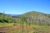 463 County Road 414 - Photo 2