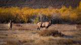 TBD County Road 57 - Photo 7