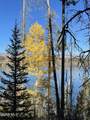 425 Lake Kove - Photo 41