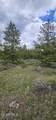 614 Gcr 6236S - Photo 7
