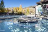 1103 Blue Sky Trail - Photo 34