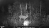 2940 County Road 41 - Photo 22