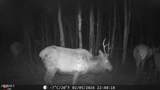 2940 County Road 41 - Photo 23