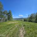 884 County Road 283 - Photo 1