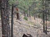 209 Hayes Street - Photo 12